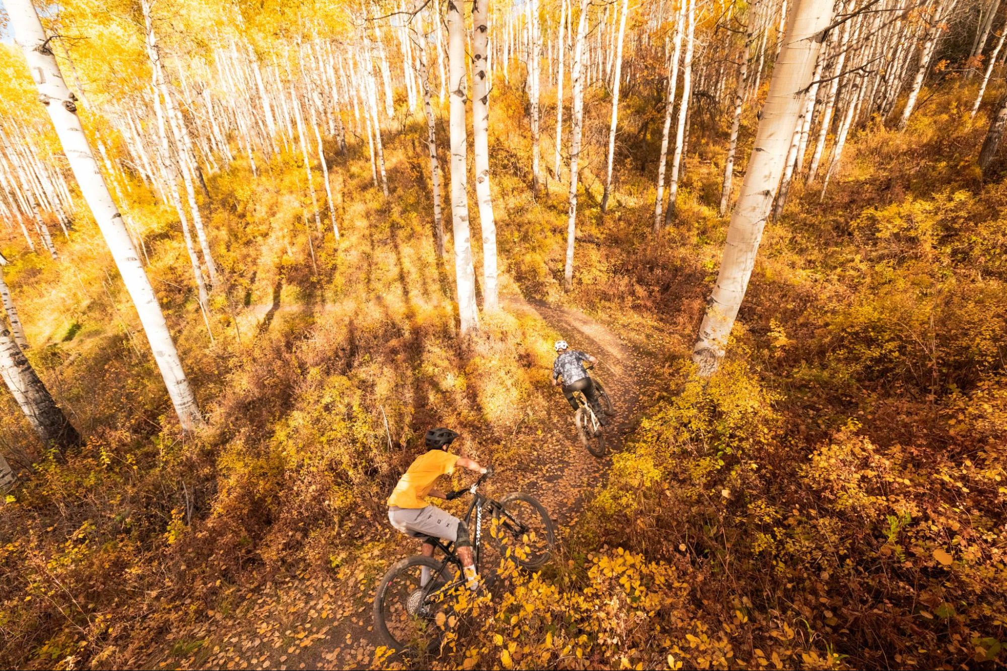 CHASING GOLD: CLASSIC COLORADO MOUNTAIN BIKING IN THE FALL