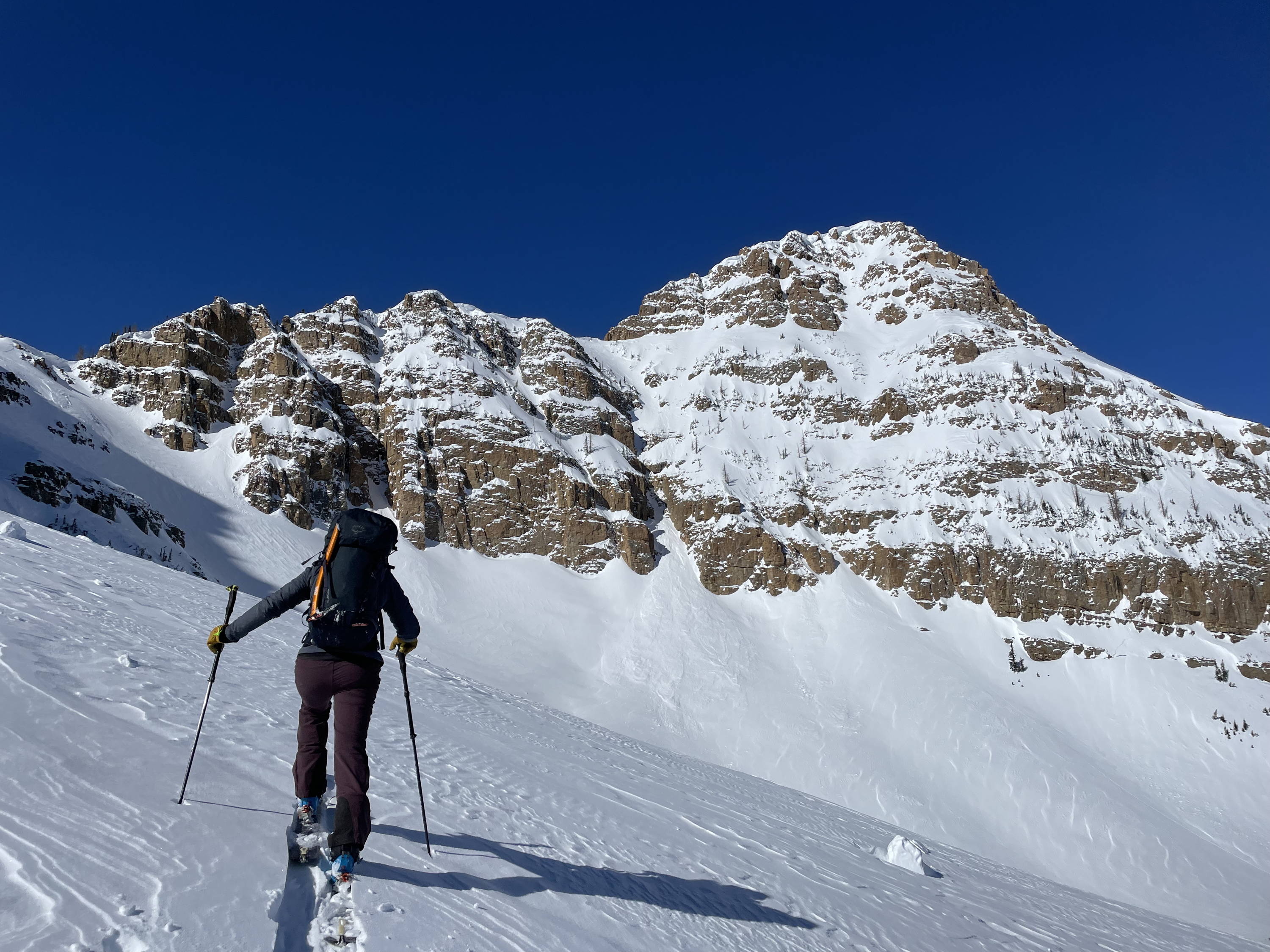 AN ELITIST'S TAKE ON SKIING WITH A GUIDE